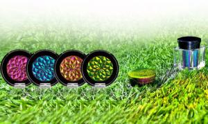 Polvere di pigmento cosmetico